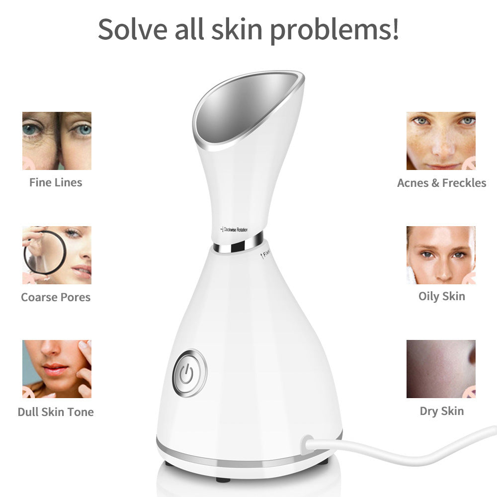 Facial Beauty Steamer