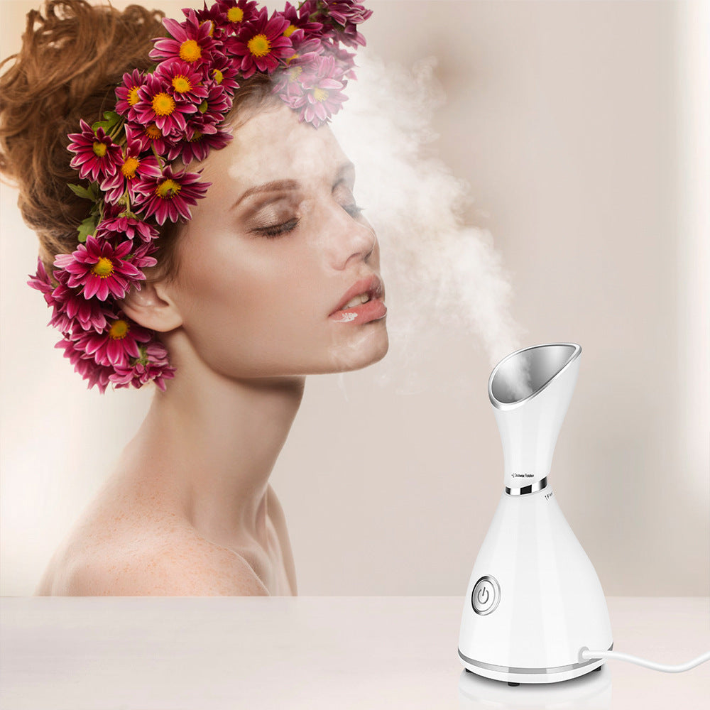 Facial Beauty Steamer
